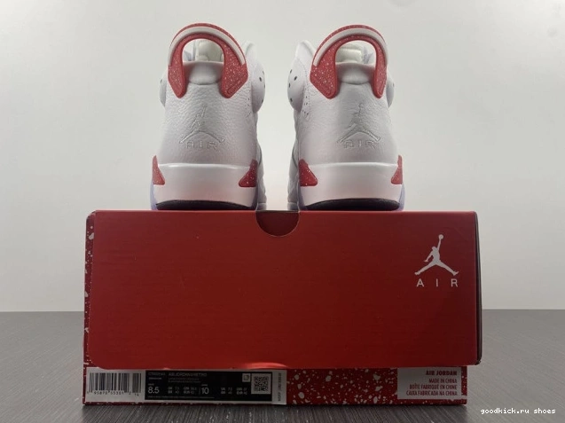 Cheap Jordan 6 Hare CT8529-162 Retro 0805